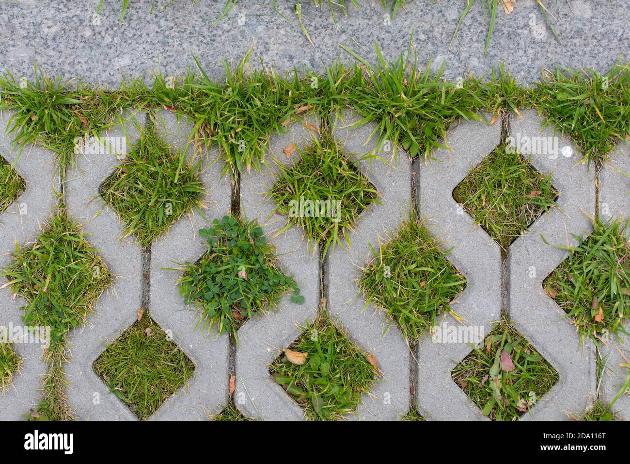 Cement grille of eco-friendly city parking lot with green grass