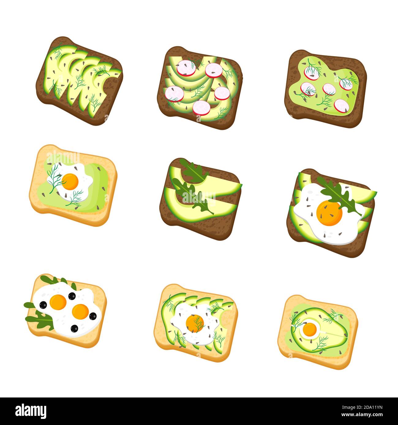 Set avocado toast. Sandwich with bread, avocado, egg, radish, dill and sesame seeds, isolated on white background. Organic healthy food. Vector Stock Vector