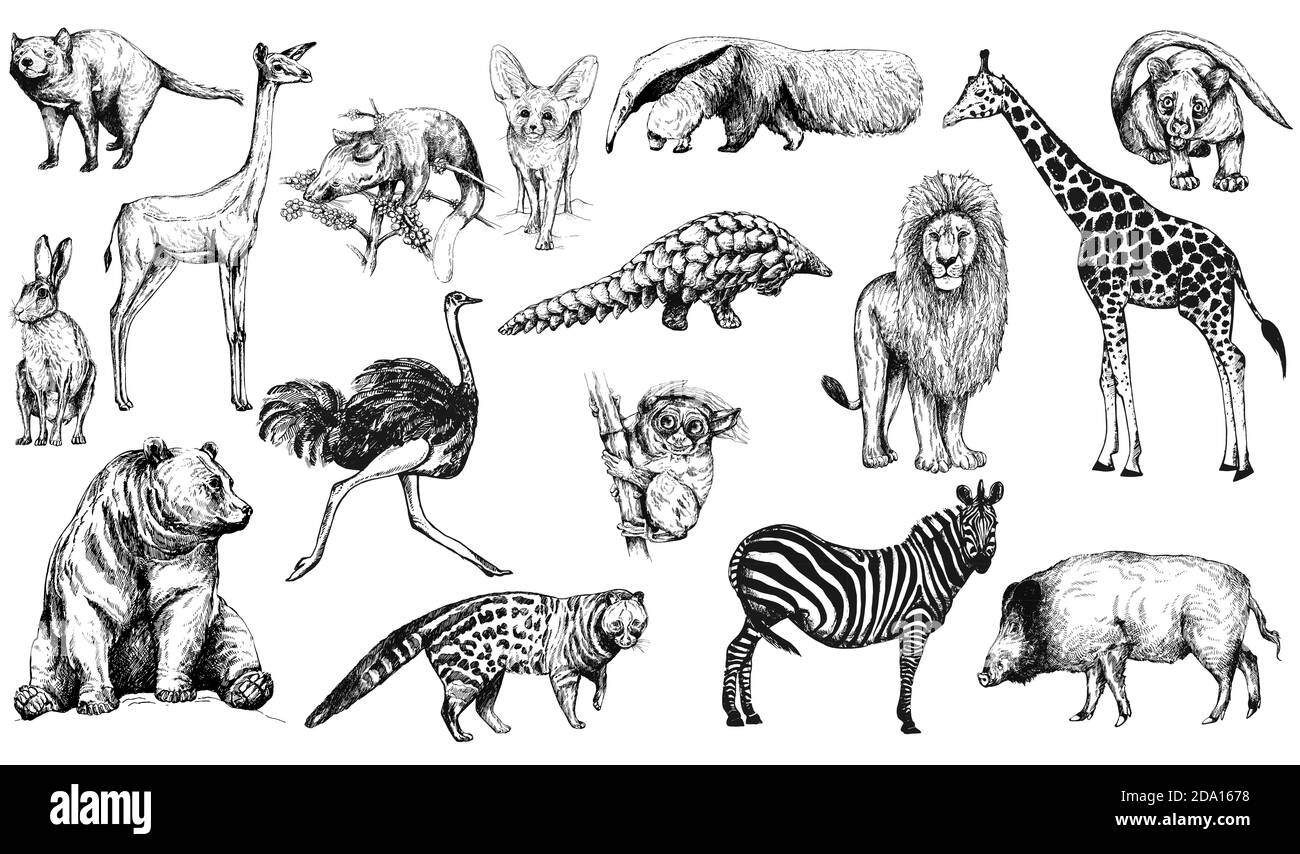 Big set of hand drawn sketch style animals isolated on white background. Vector illustration. Stock Vector