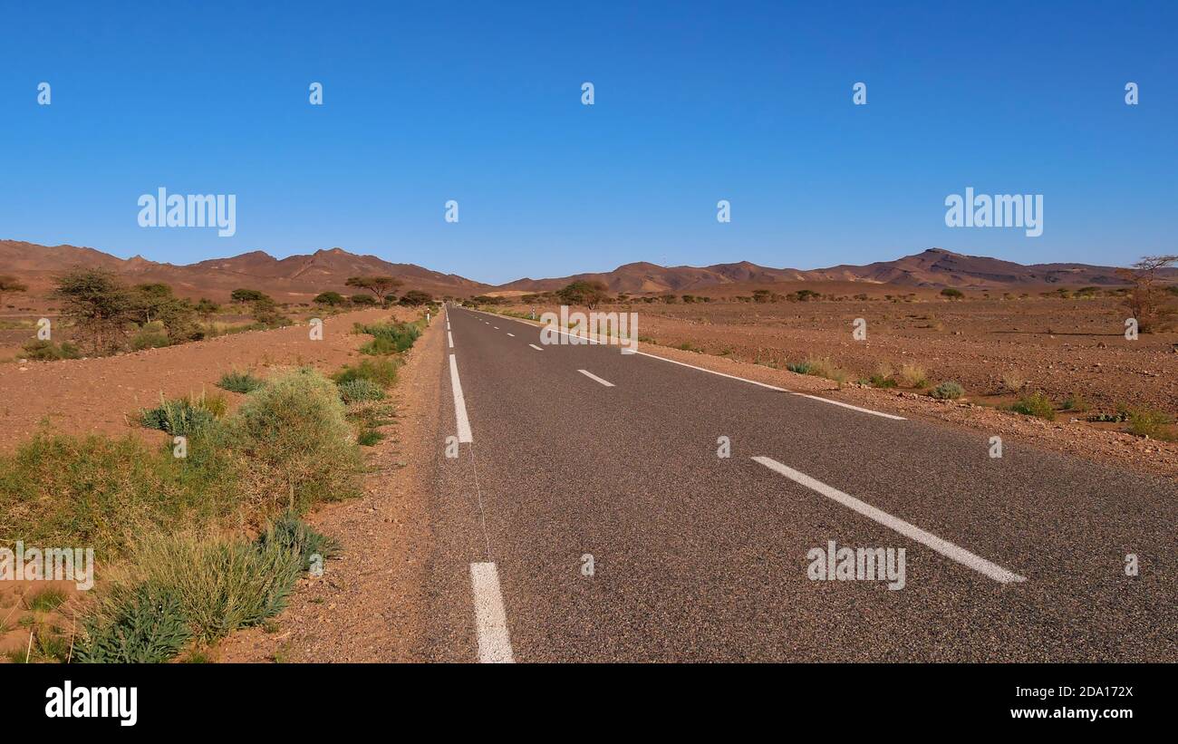 Lonely paved country road leading through barren desert landscape in southern Morocco, Africa with sparse vegetation (bushes and trees) and mountains. Stock Photo