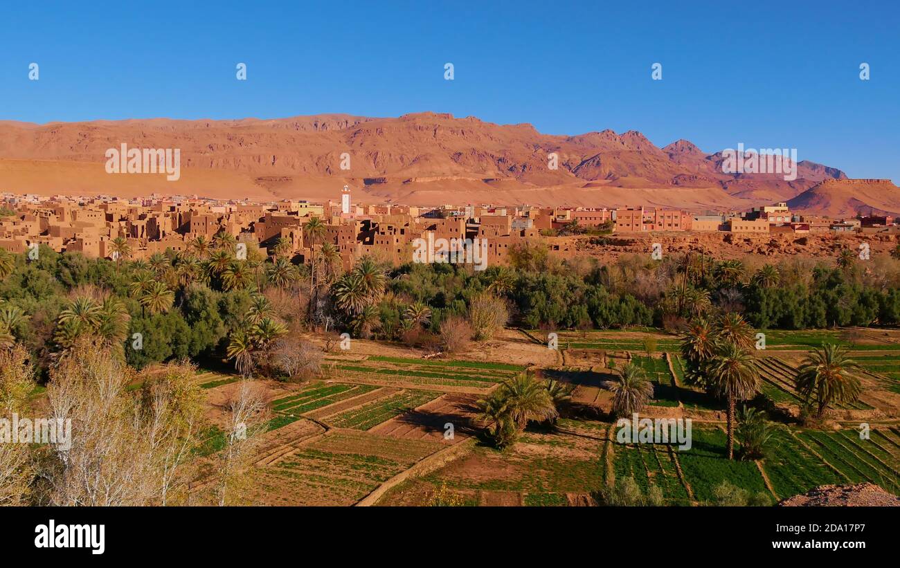 Green oasis with fields and date palm trees in the southern Altas Mountains in Berber city Tinghir, Morocco with historic loam buildings. Stock Photo