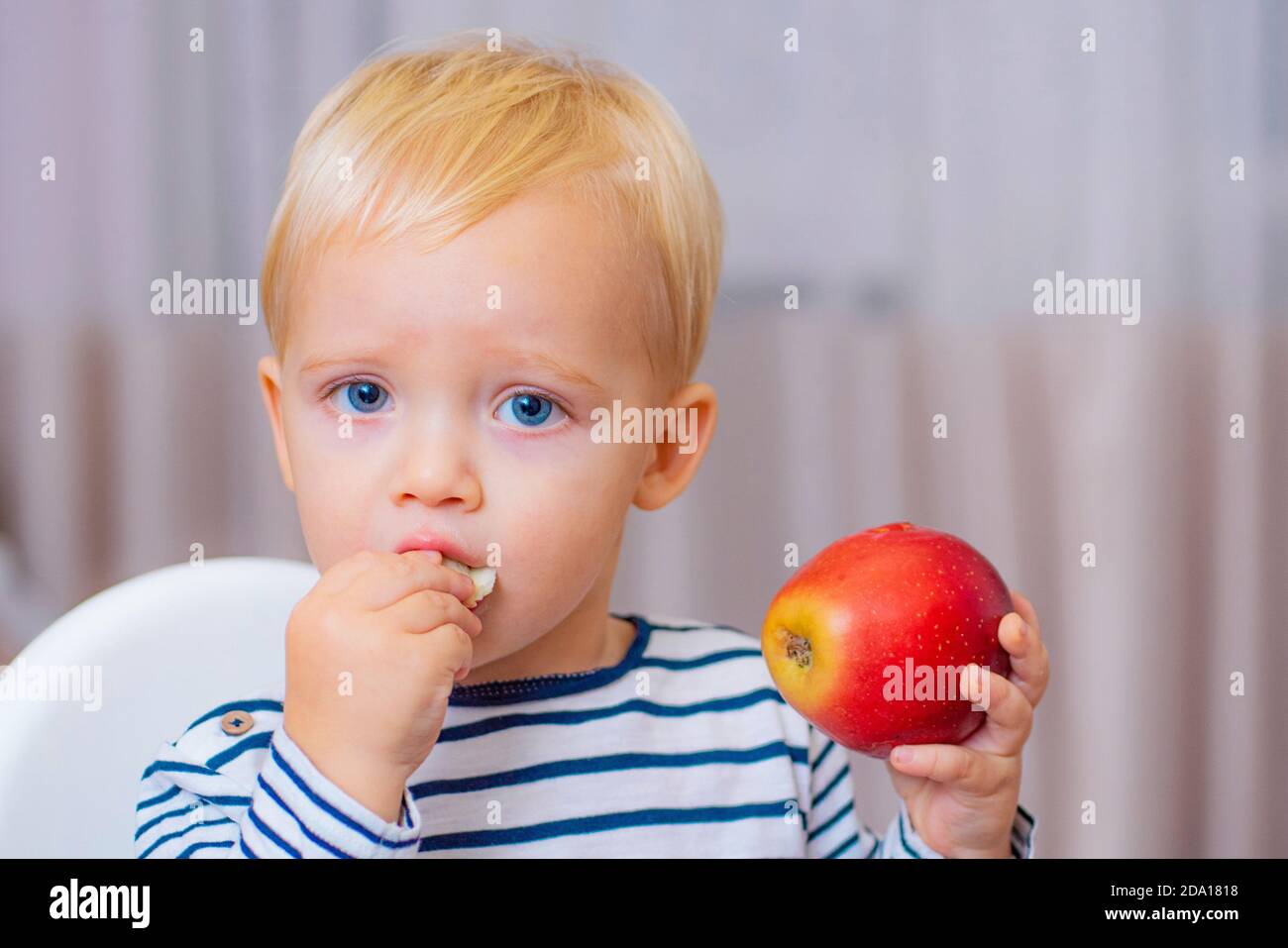 Baby nutrition. Eat healthy. Toddler having snack at home. Child eat