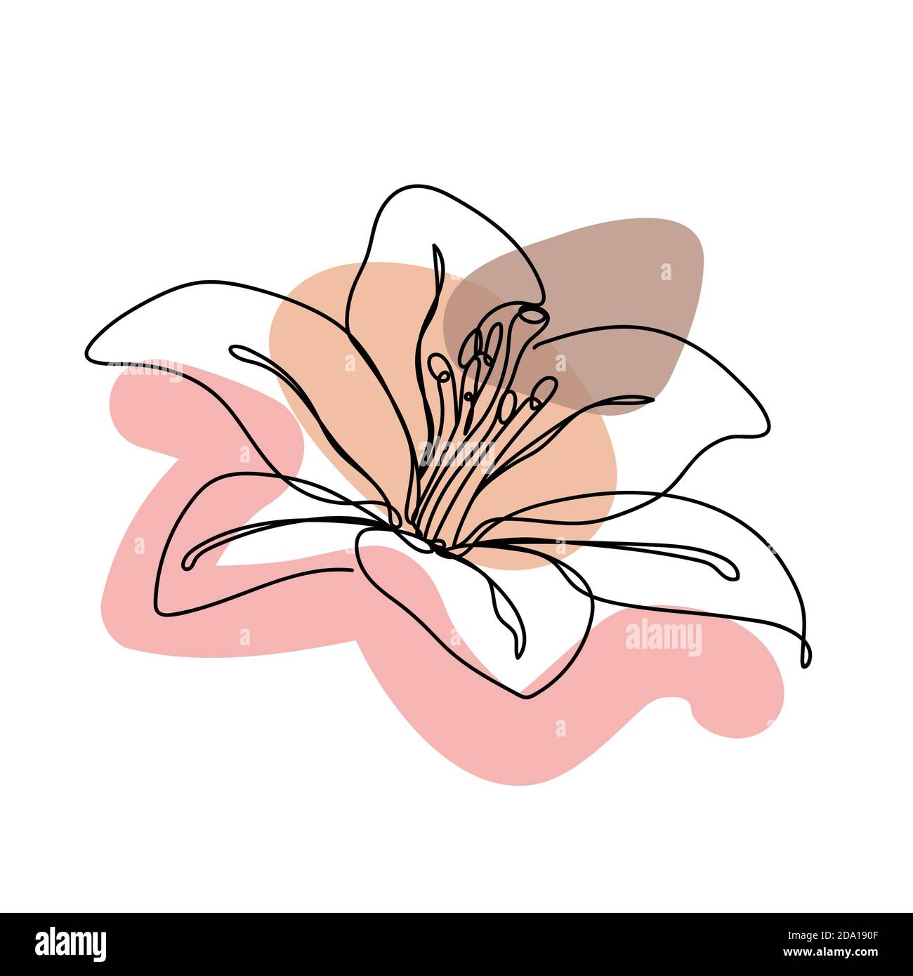 Flower in a linear style on white background Stock Vector Image & Art