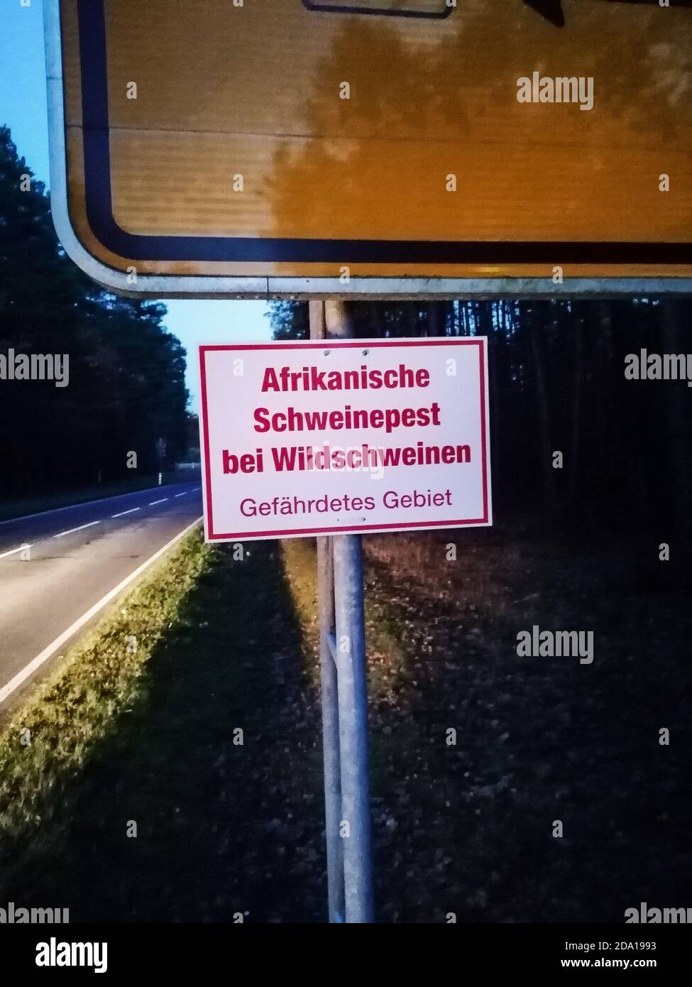 ein Hinweisschild AFRIKANISCHE SCHWEINEPEST BEI WILDSCHWEINEN GEFÄHRDETES GEBIET bei Bad Muskau an der B115 am 8.11.2020 Stock Photo