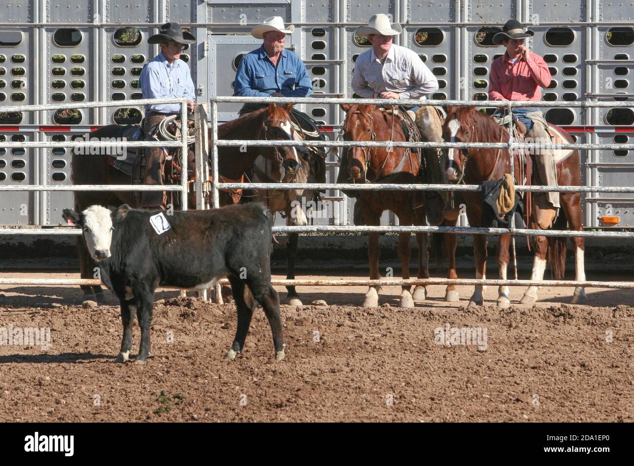 Rodeo event at the Arizona National Livestock Show, Phoenix, Arizona