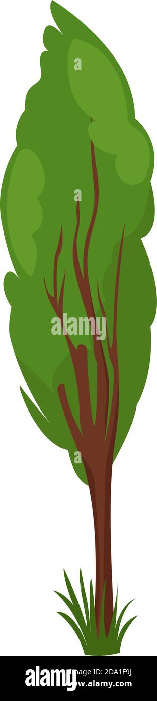 Cottonwood ,illustration,vector on white background Stock Vector