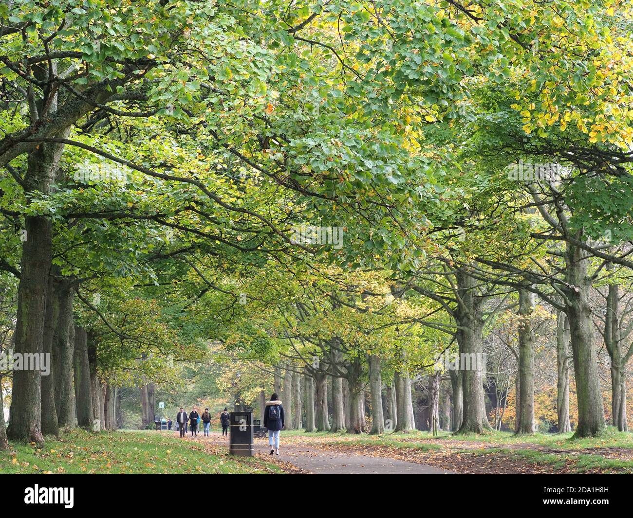 Watford parks hires stock photography and images Alamy