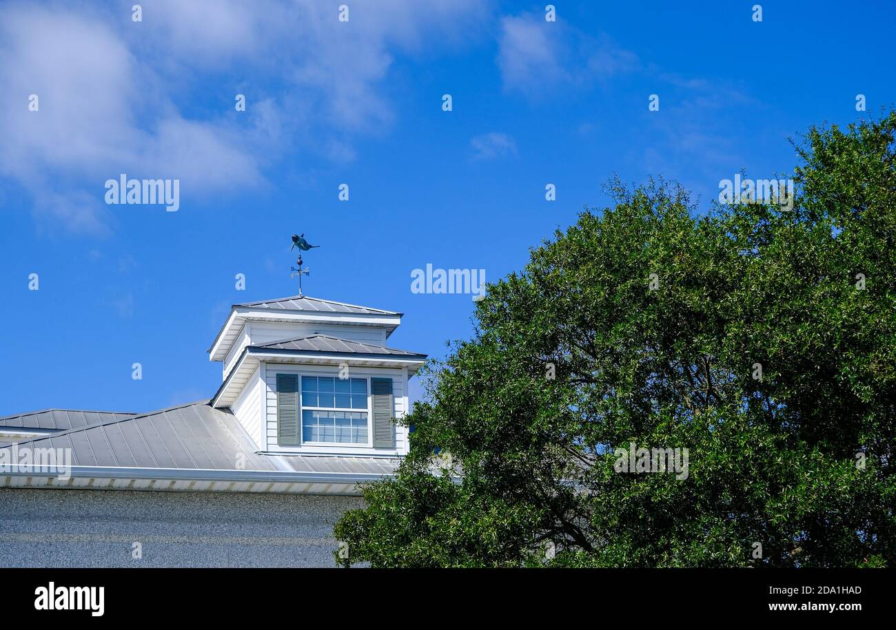 Roof Dormer with Wind Vane Stock Photo