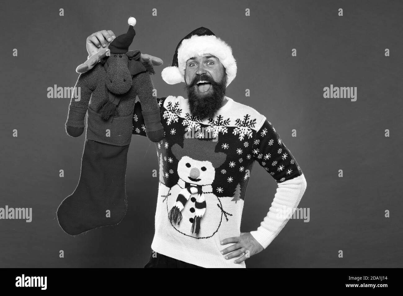 Each surprise is just that. Surprised hipster hold reindeer toy. Bearded man prepare surprise gift. Christmas Santa surprise. Merry xmas. Happy new year. Boxing day. Let Santa surprise you. Stock Photo