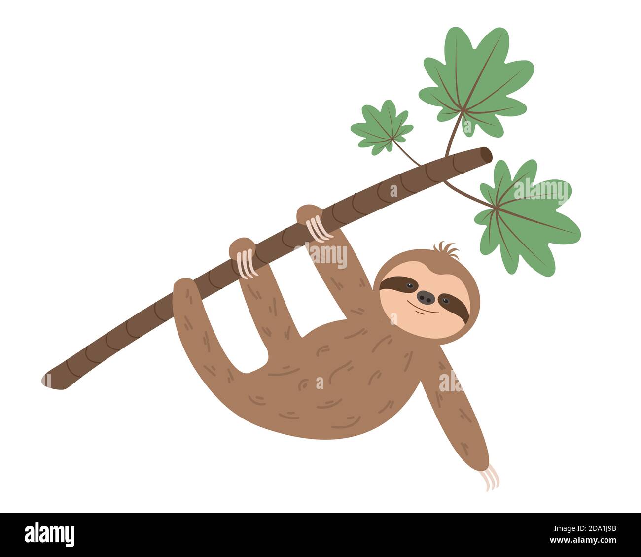 Funny sloth hanging on tree branch. Cartoon animal character. Vector  illustration Stock Vector Image & Art - Alamy