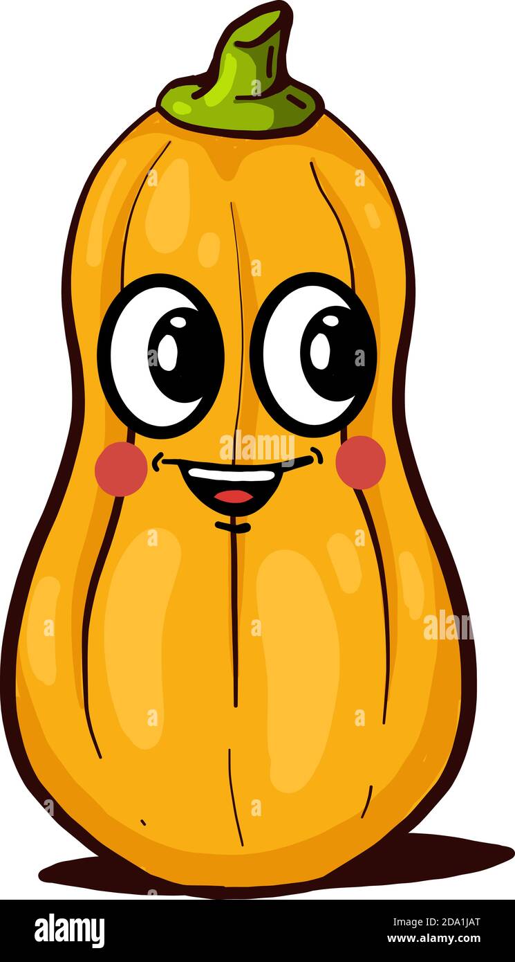 Happy butternut squash ,illustration,vector on white background Stock