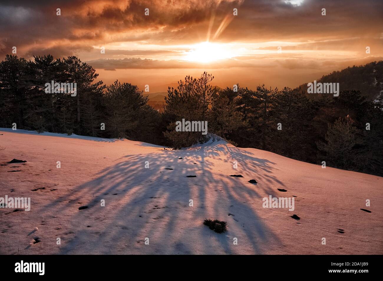shadow of pine tree on the snow in Etna National Park at sunset with storm clouds, Sicily Stock Photo