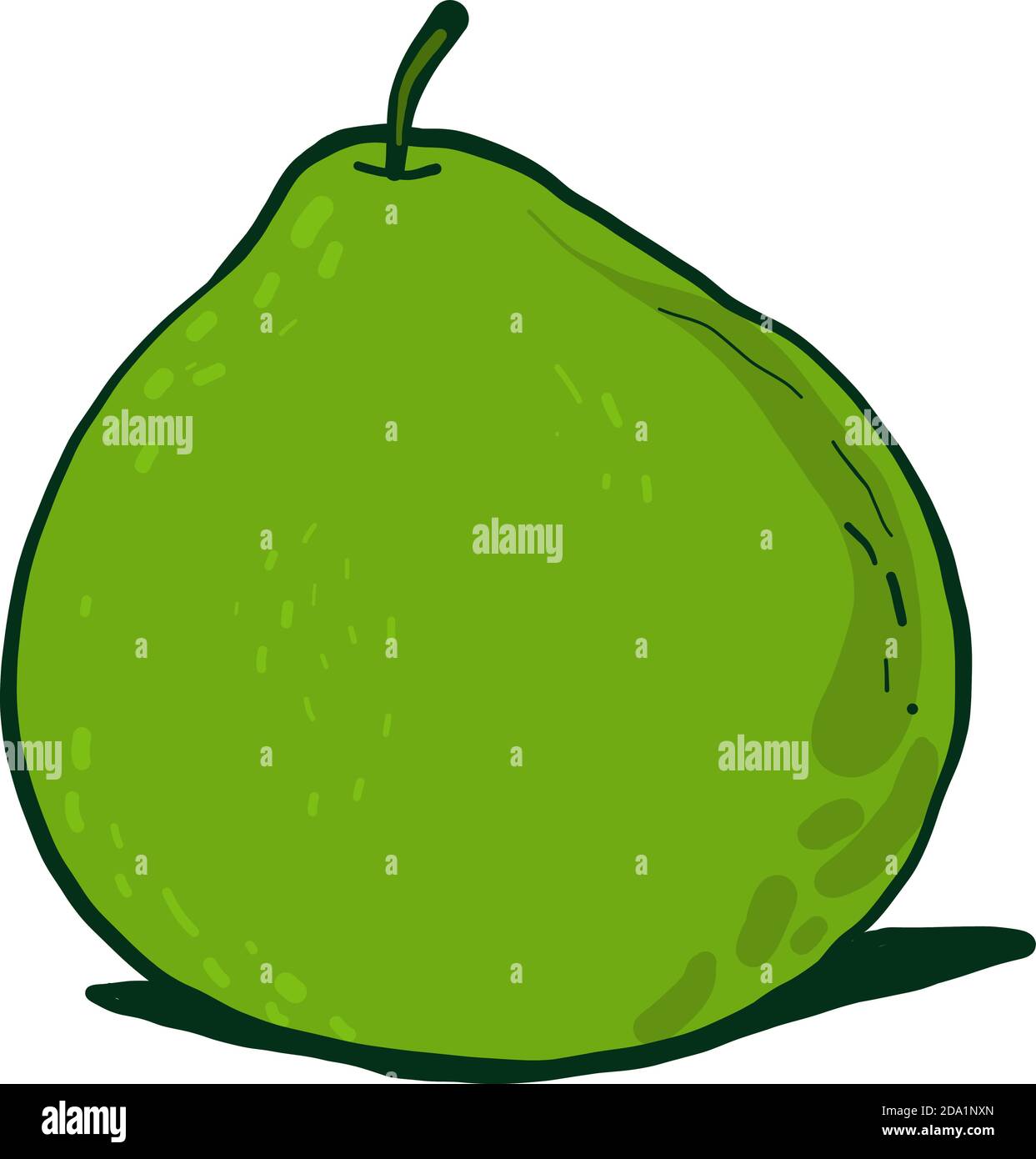 Green pear , illustration, vector on white background Stock Vector ...