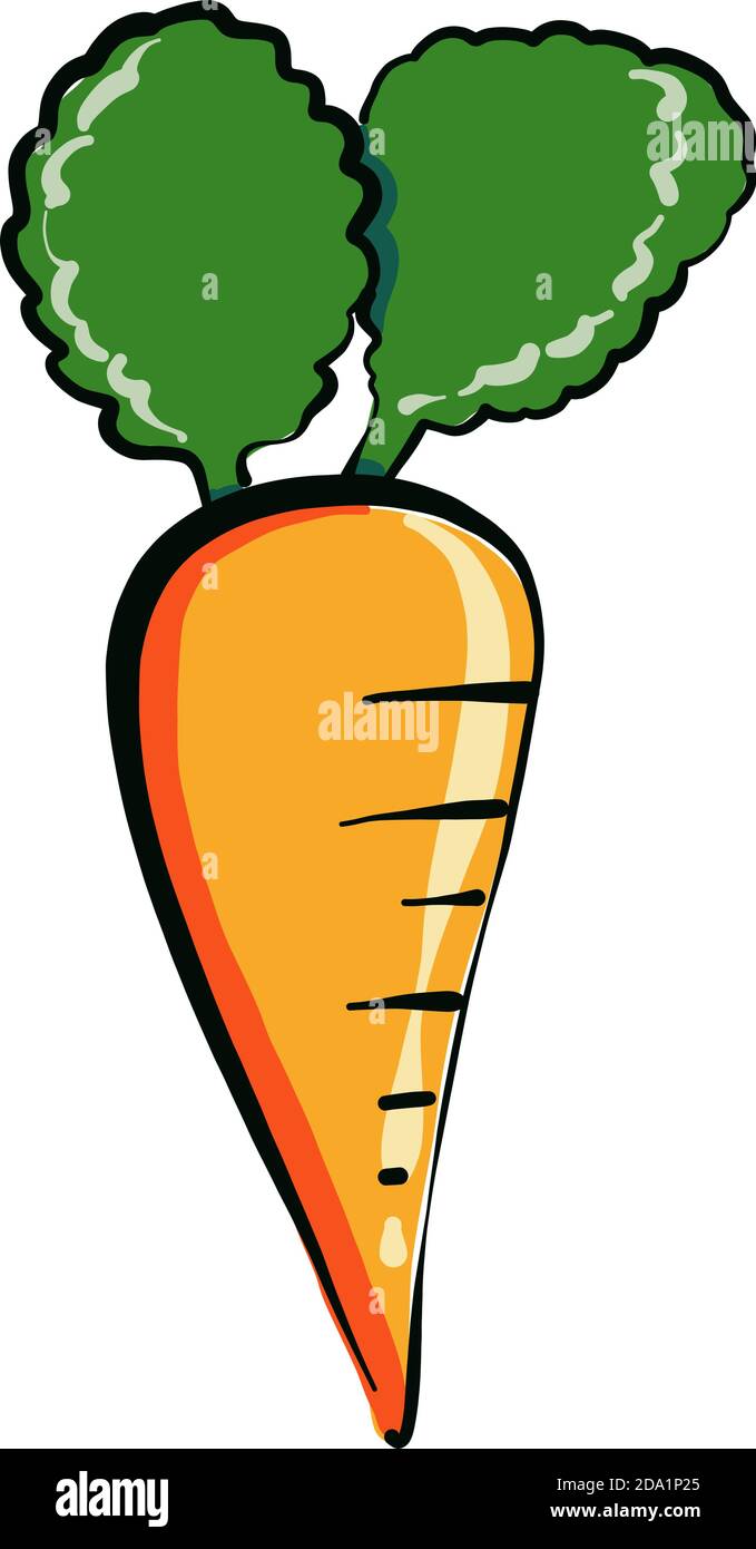 Small carrot , illustration, vector on white background Stock Vector