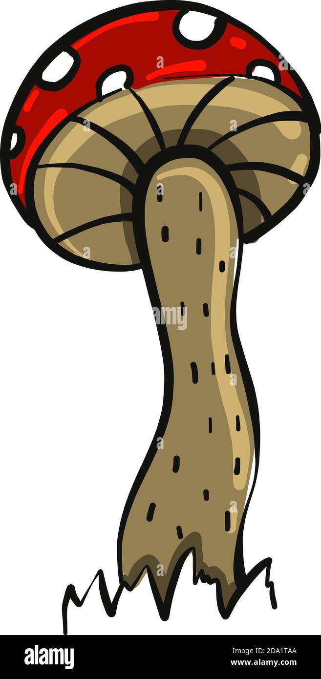 Red mushroom, illustration, vector on white background Stock Vector