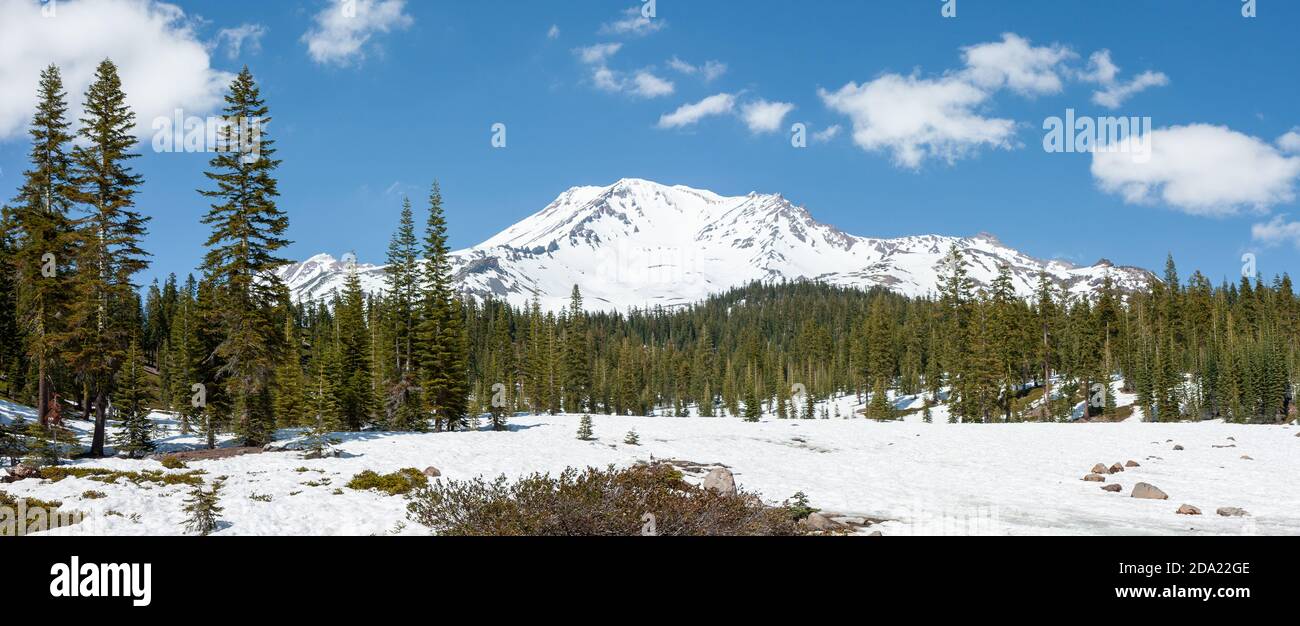 Panorama of Mount Shasta, California Stock Photo
