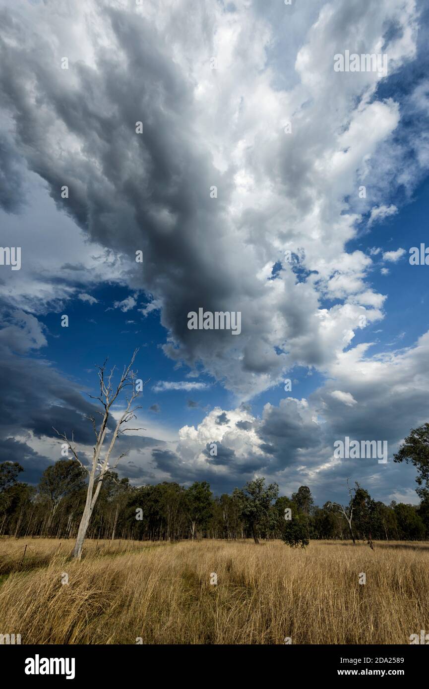 Vertical view of impressive low white clouds in stormy skies brought by La Niña weather phenomenon, Toogoolawah, Queensland, QLD, Australia Stock Photo