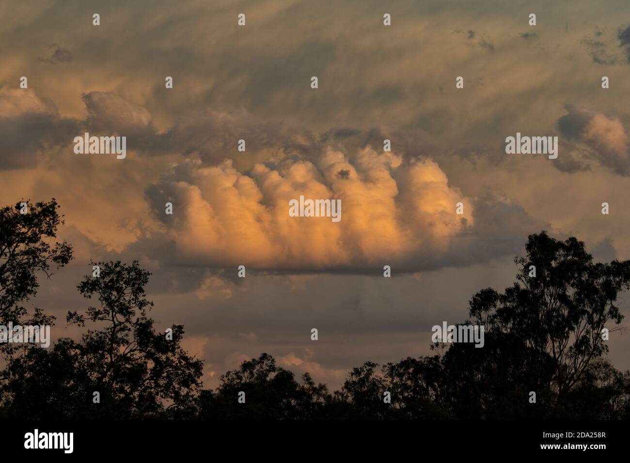 Low pink cloud formations during a spectacular storm brought by La Niña weather phenomenon, Toogoolawah, Queensland, QLD, Australia Stock Photo