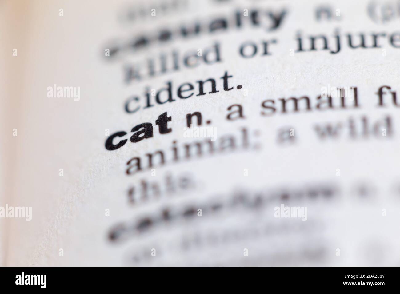 Macro close up of old English dictionary page with word cat Stock Photo