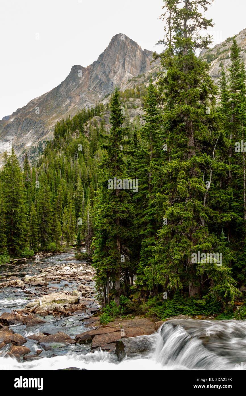 Portrait view of a landscape depicting moving water, lush conifer trees, and craggy peaks. East Rosebud, Beartooth Mountains, Montana, USA. Stock Photo