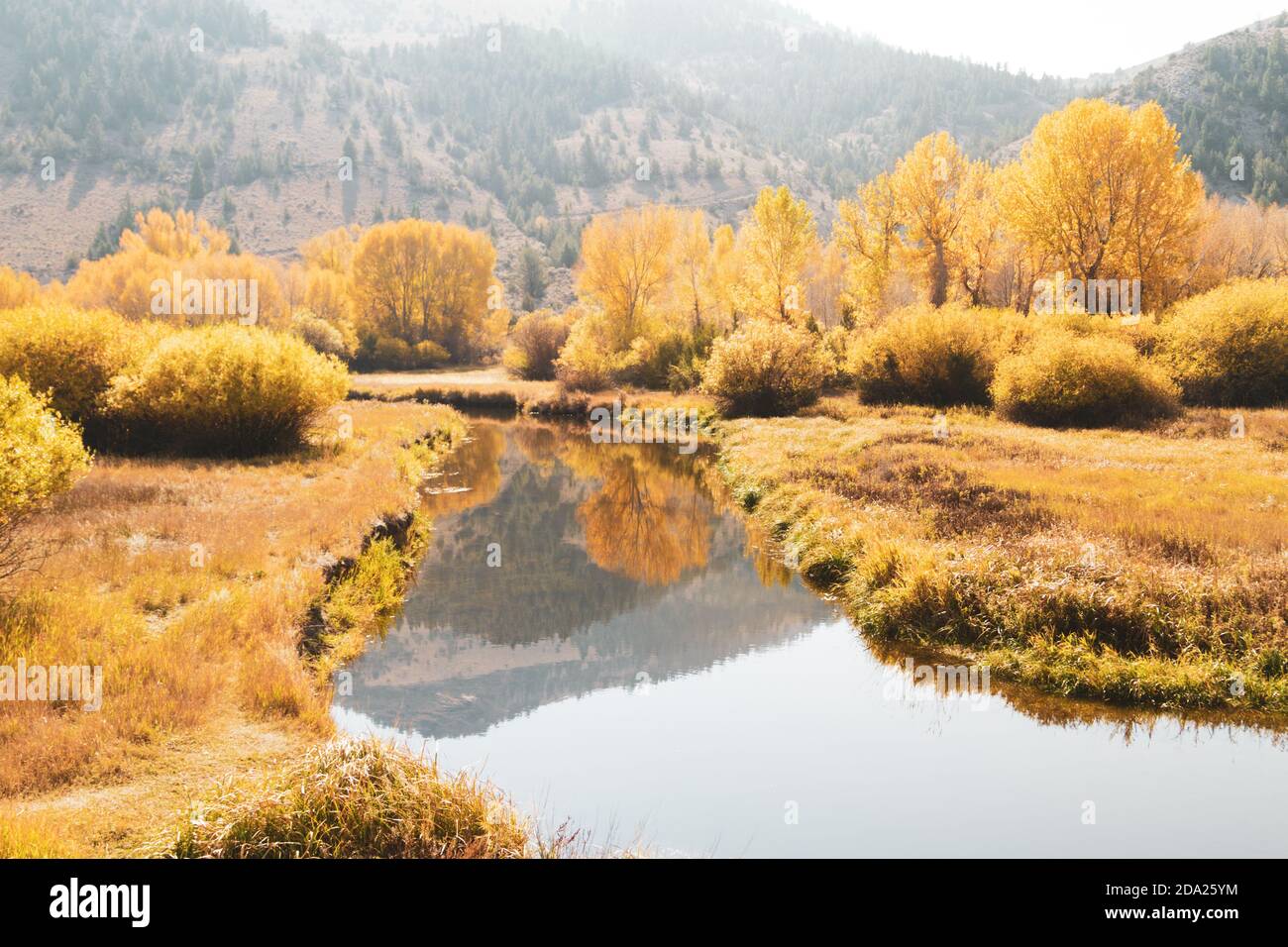 Creek near Bannack, Montana in fall colors Stock Photo Alamy