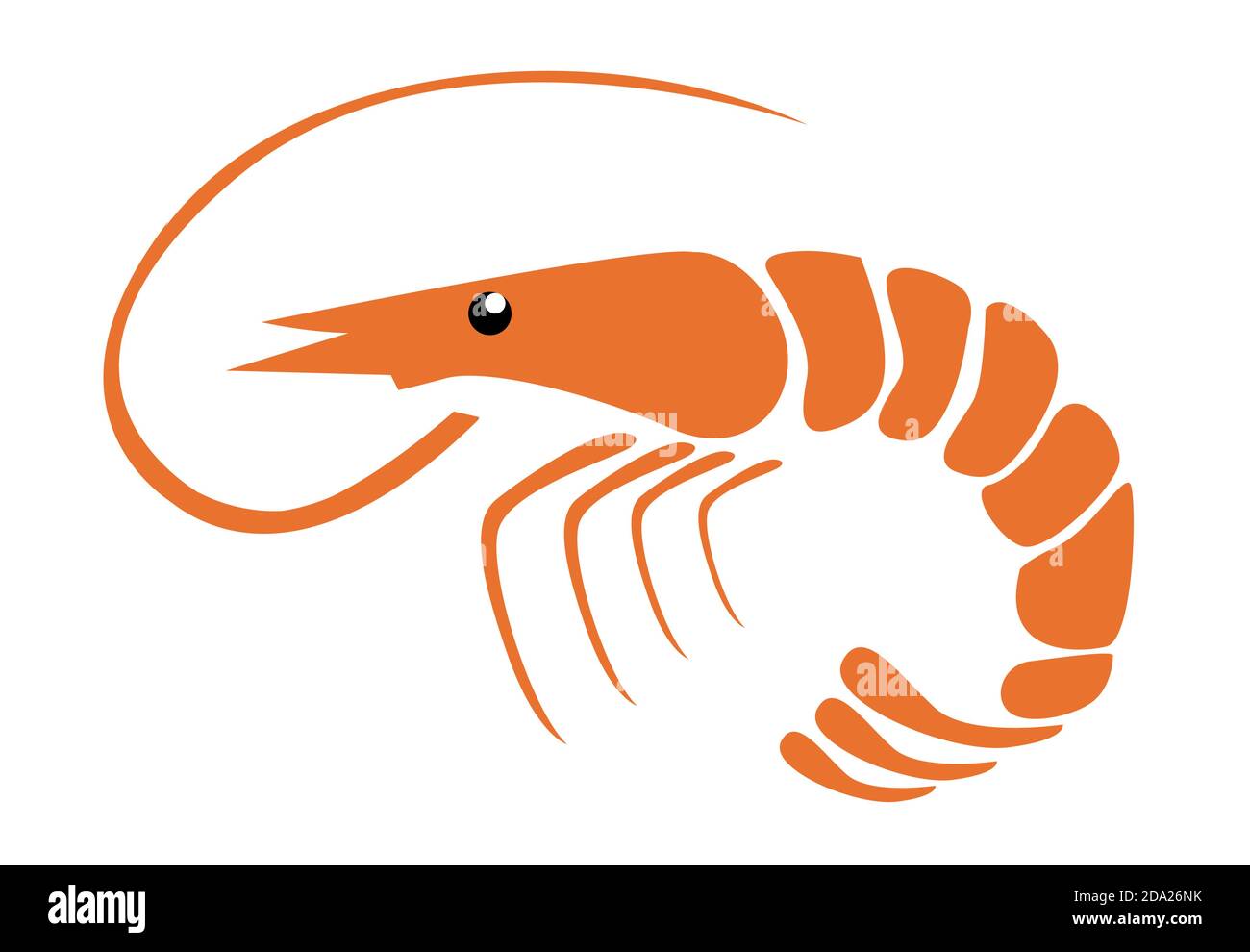 Shrimp vector illustration on white Stock Vector