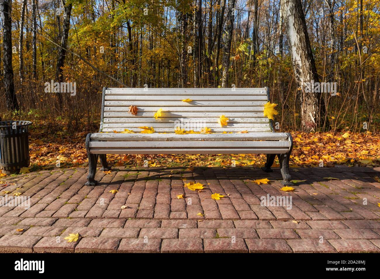 Park bench autumn leaves hi-res stock photography and images - Alamy