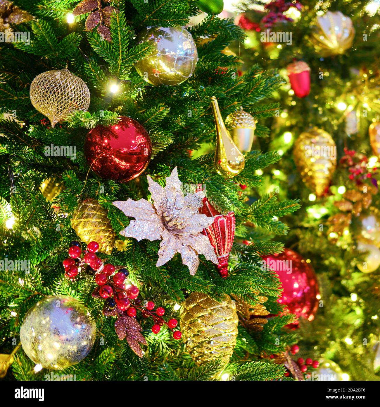 Christmas decoration of white poinsettia, bauble balls and red mistletoe Stock Photo