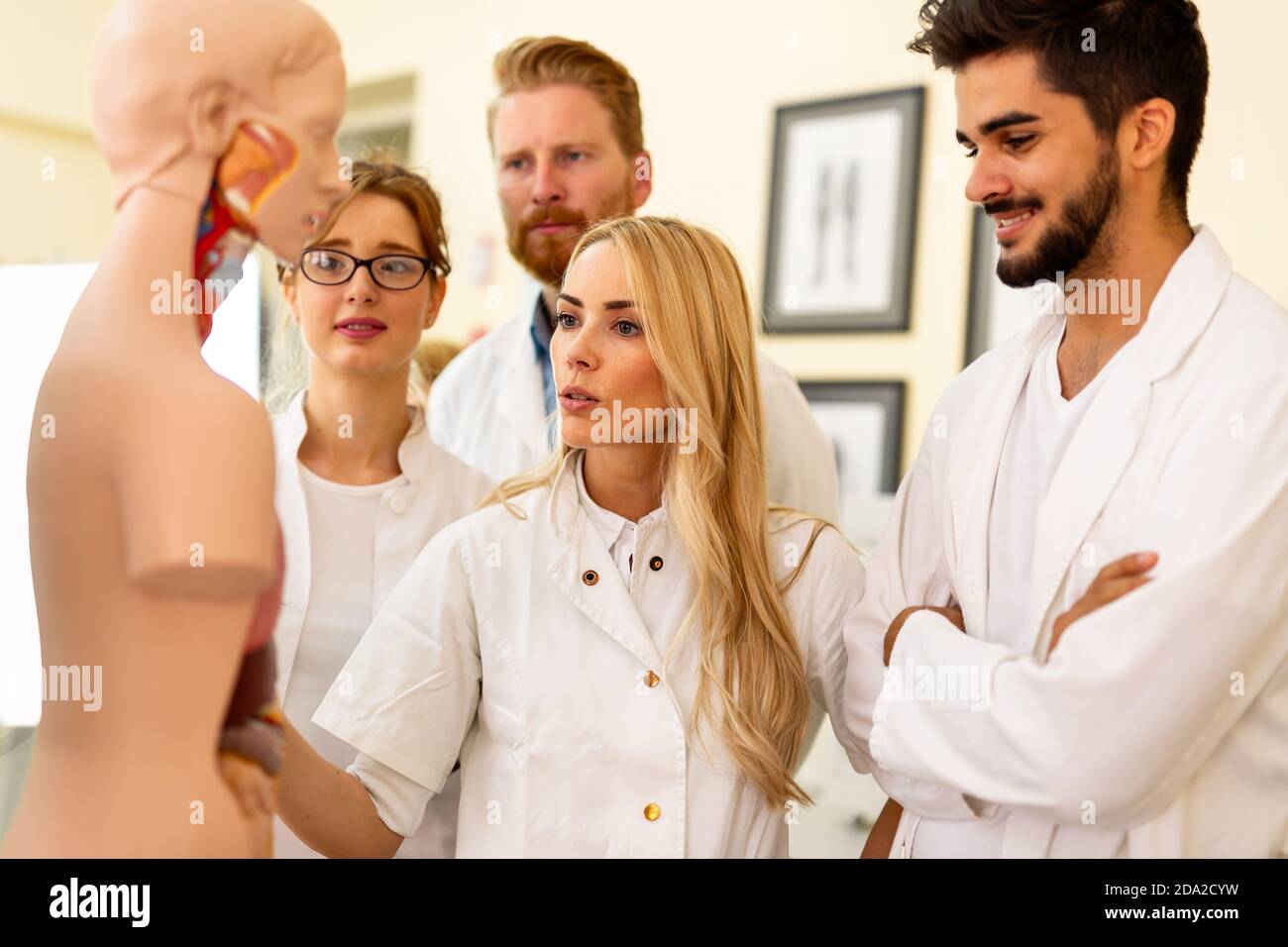 Student of medicine examining anatomical model in lab Stock Photo Alamy