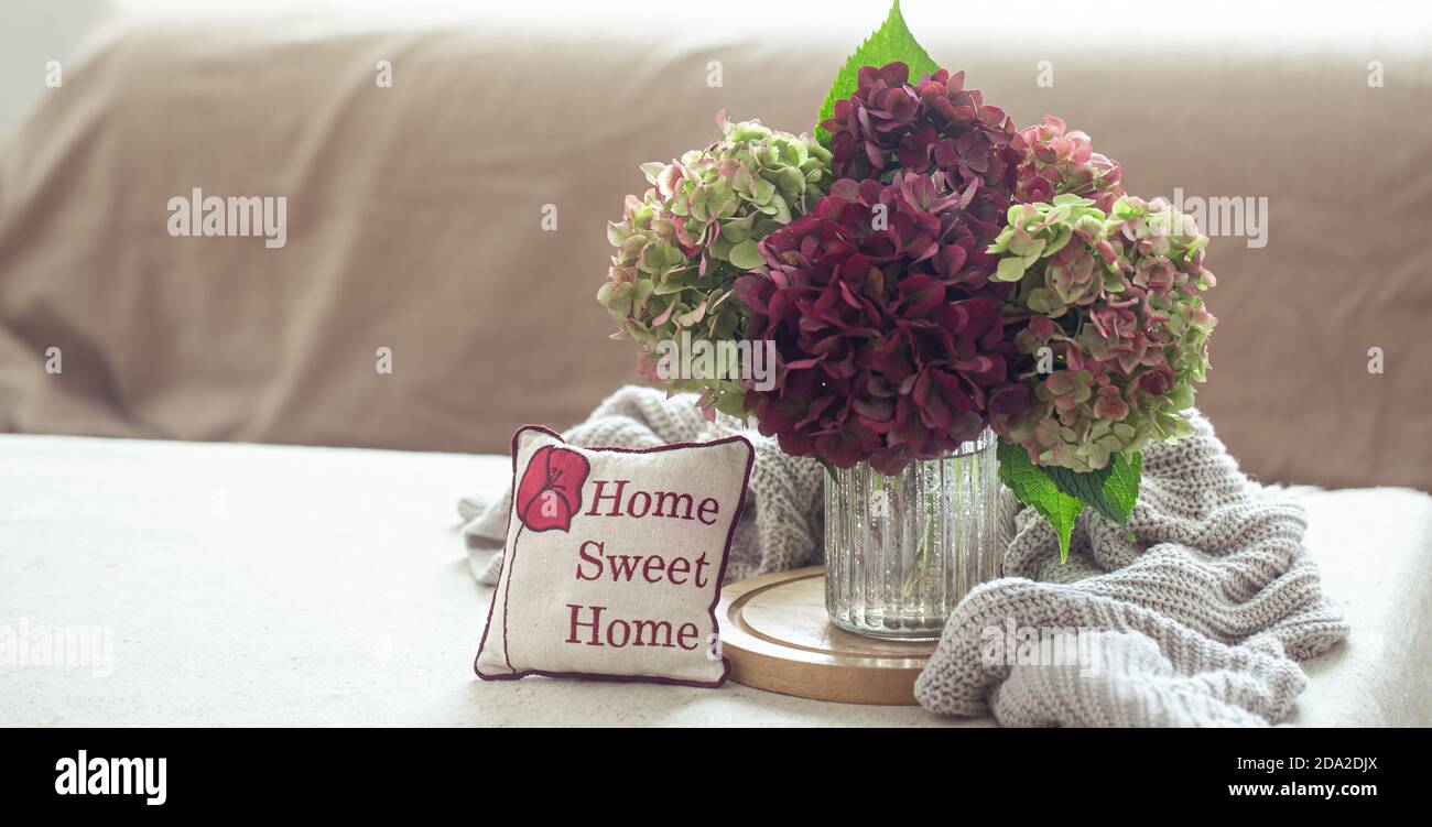 Autumn still life with a burgundy and green hydrangea flower on light blurred room background in natural light close up. Stock Photo