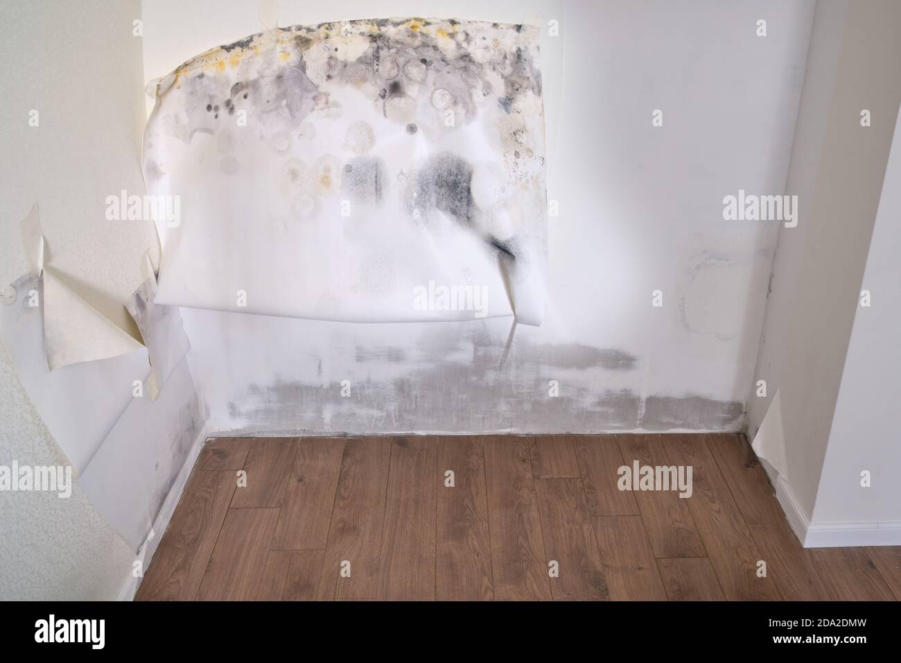 Wall in the home before and after cleaning wallpaper from mold Stock