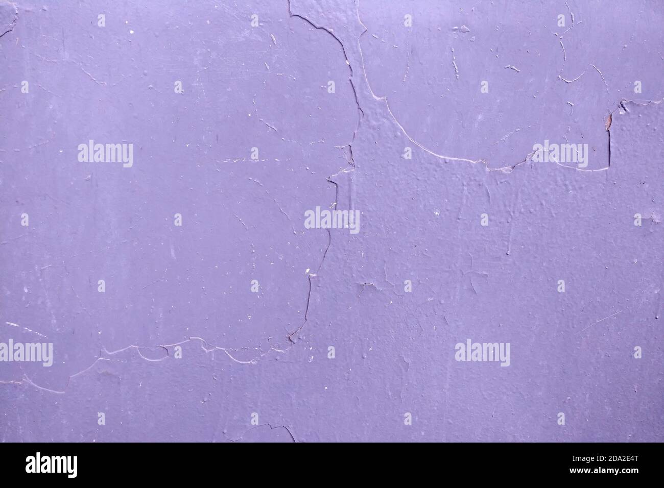 Purple peeling paint in several layers on the metal, rusty surface ...
