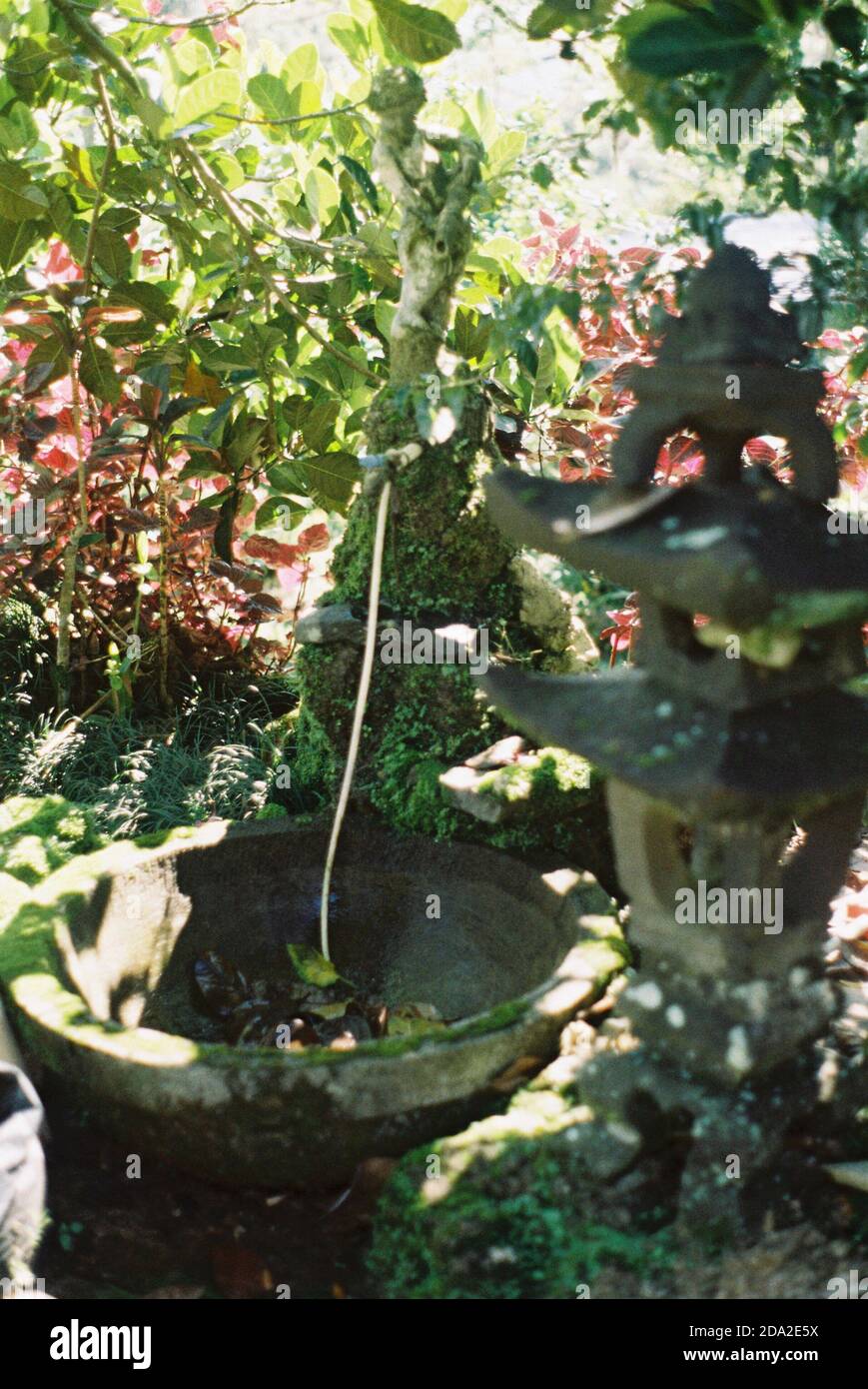 Dry fountain in a garden Stock Photo