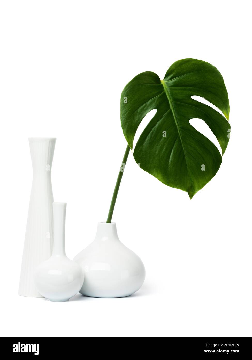 Three white vases, one with a leaf of monstera deliciosa, isolated on white background Stock Photo