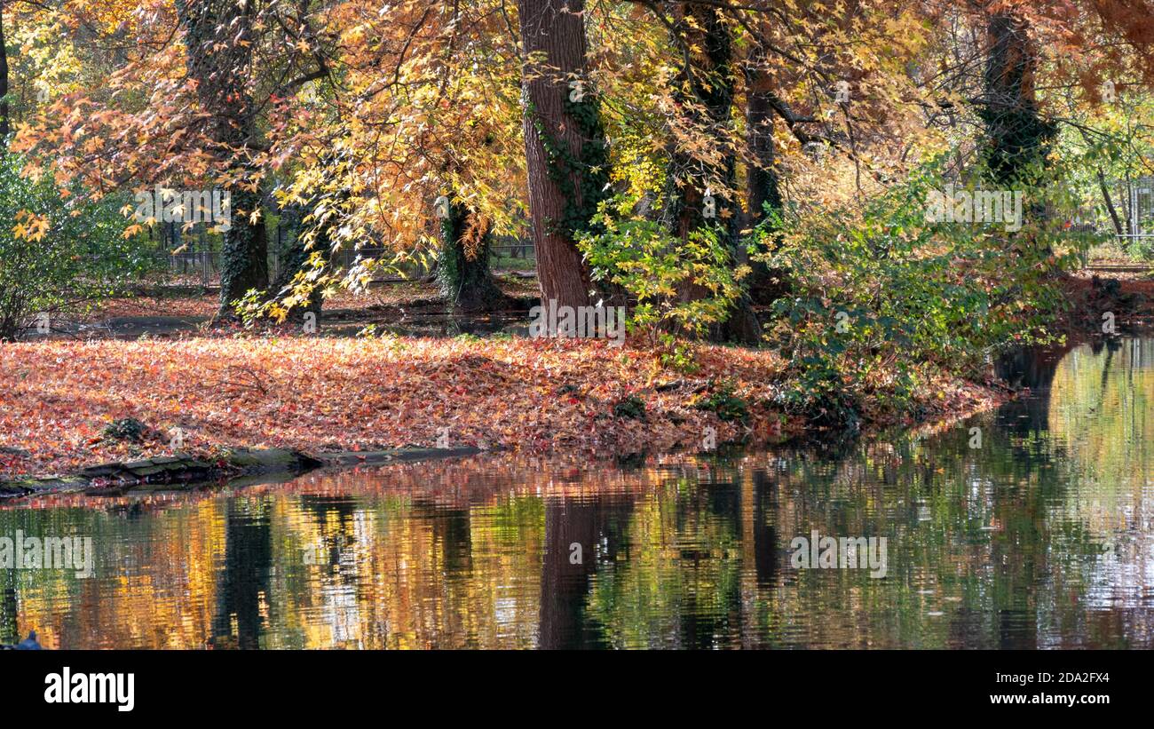 Autumn in beautiful colors Stock Photo - Alamy