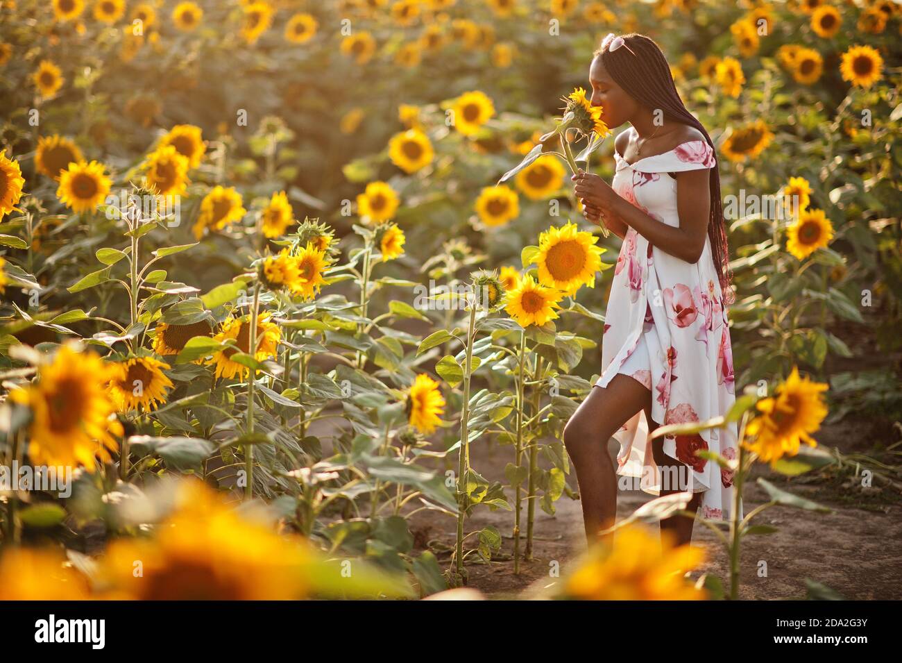 yellow beach wedding guest dresses Sunflower Pattern Summer Dress – axes femme from JAPAN main image 1