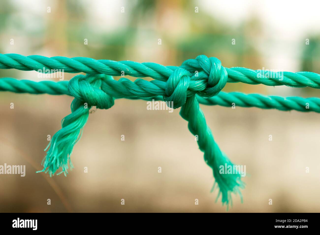 Rope tie knot Closeup. Rope with a two tied knot in the middle