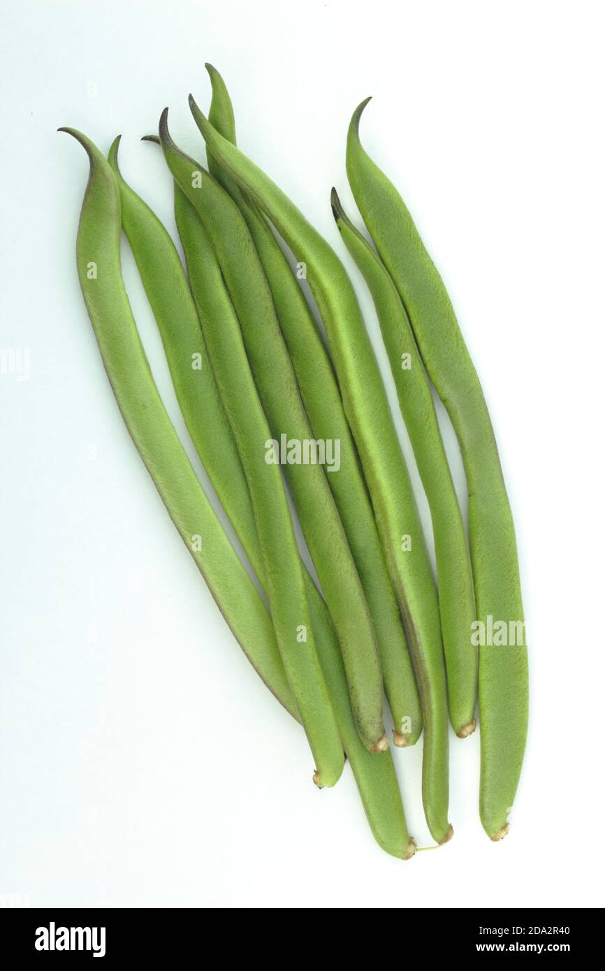 Phaseolus coccineus. Fresh green runner beans on a white background. Stock Photo