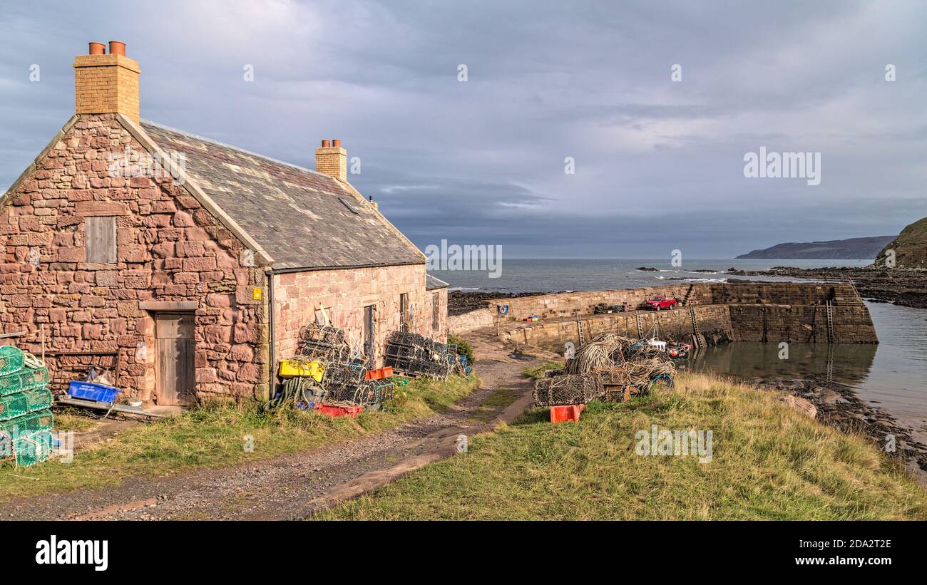 Cove harbour hires stock photography and images Alamy