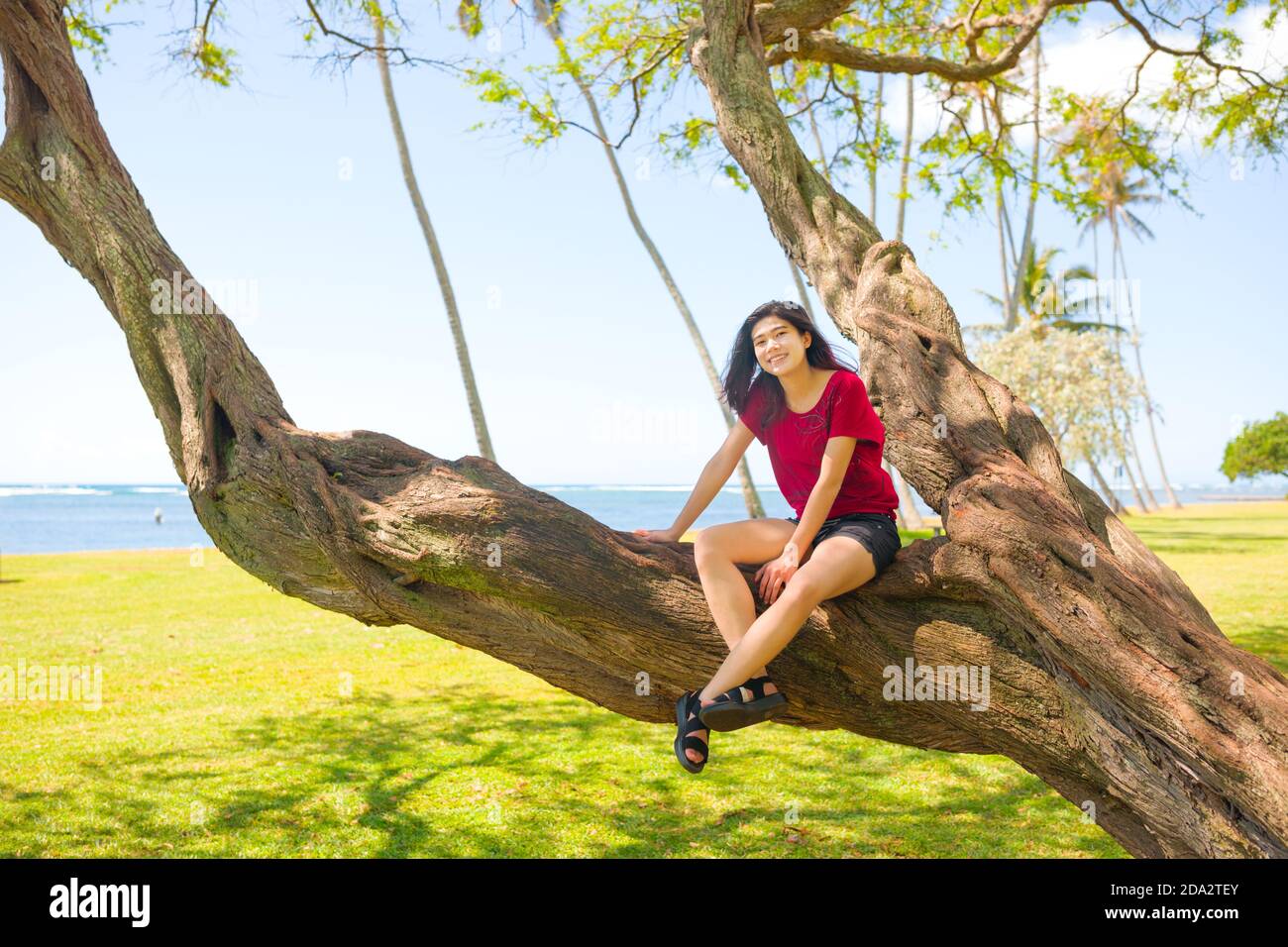 Biracial teen girl resting on large gnarled and twisted tree branch of large tree at a tropical oceanside park on Oahu, Hawaii Stock Photo