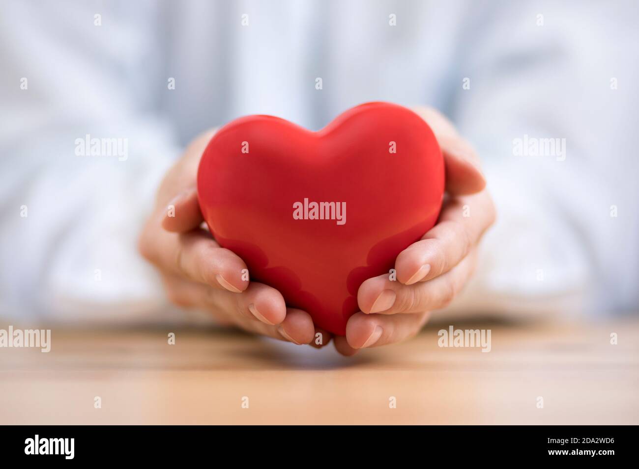 Red heart in hands. Health insurance or love concept. Stock Photo