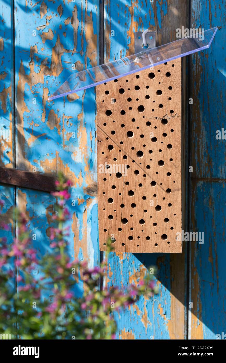 wild bee nesting aid made of hardwood with Plexiglas pane for rain protection Stock Photo