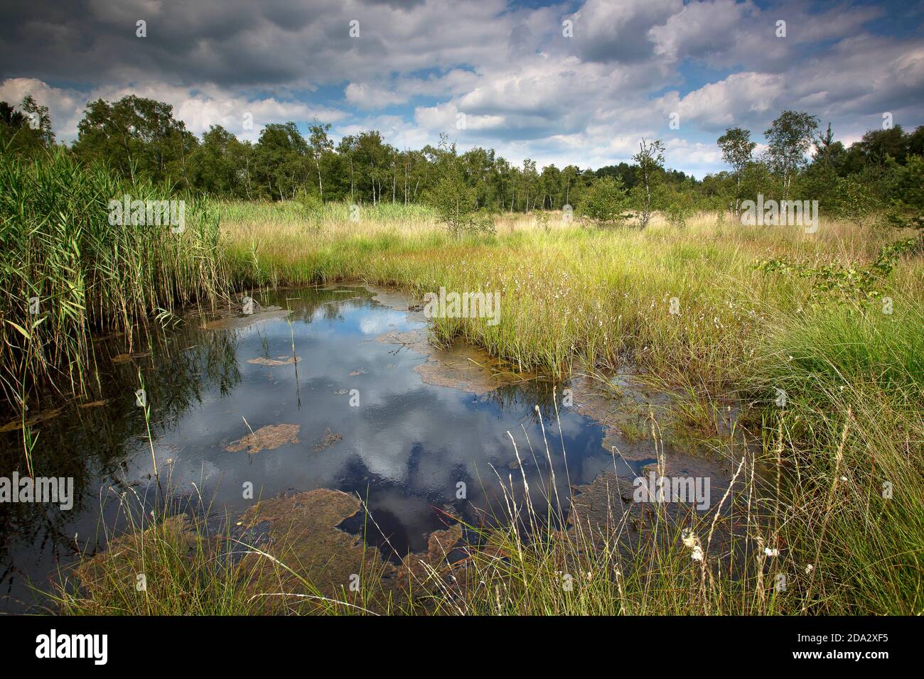 Diel High Resolution Stock Photography And Images Alamy