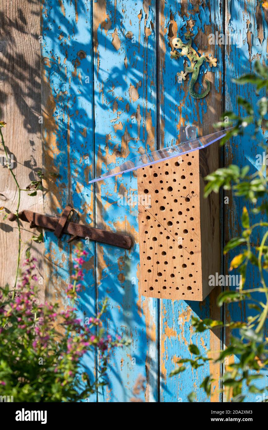 wild bee nesting aid made of hardwood with Plexiglas pane for rain protection Stock Photo