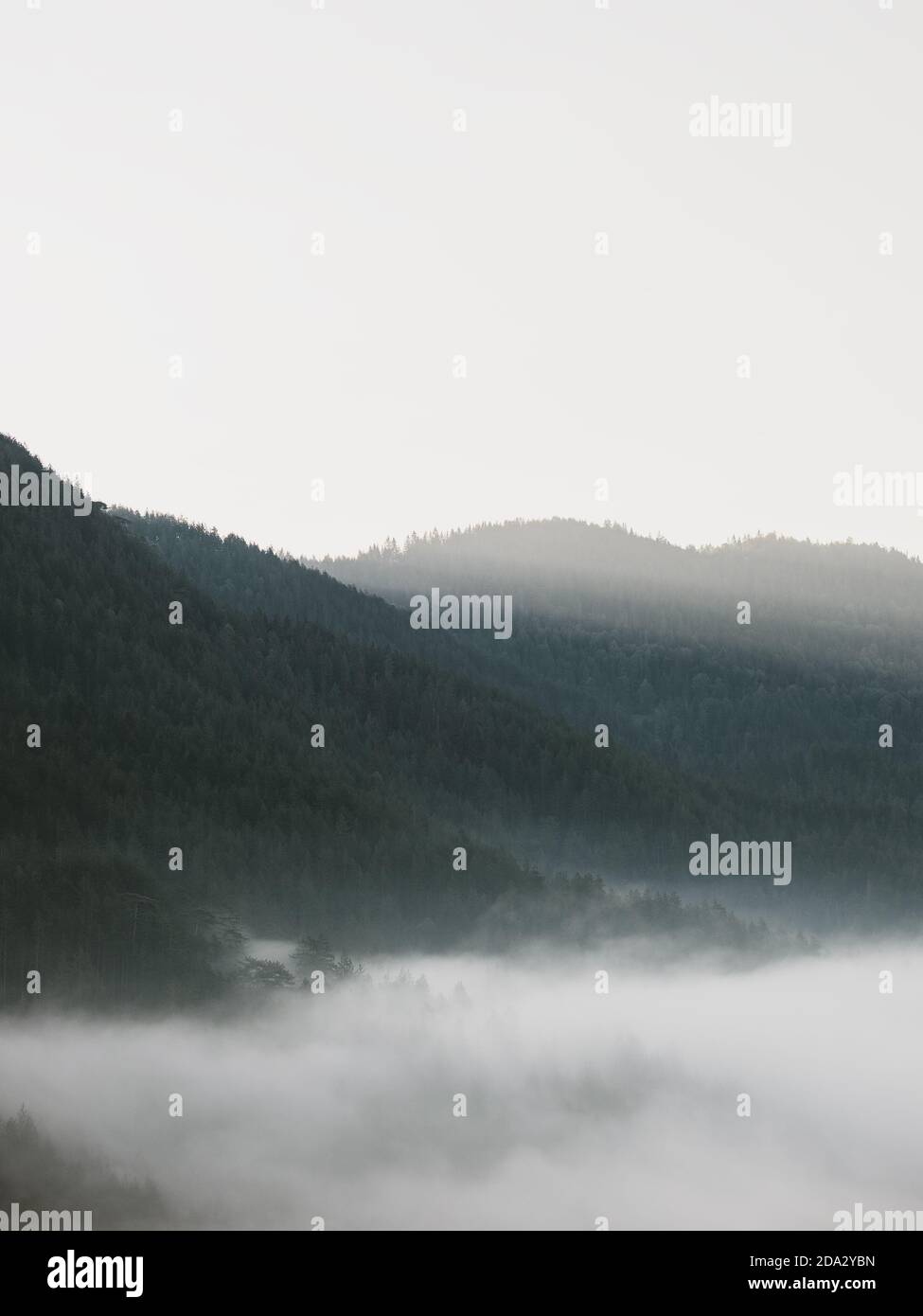 View of the foggy mountain landscape in the early morning Stock Photo ...