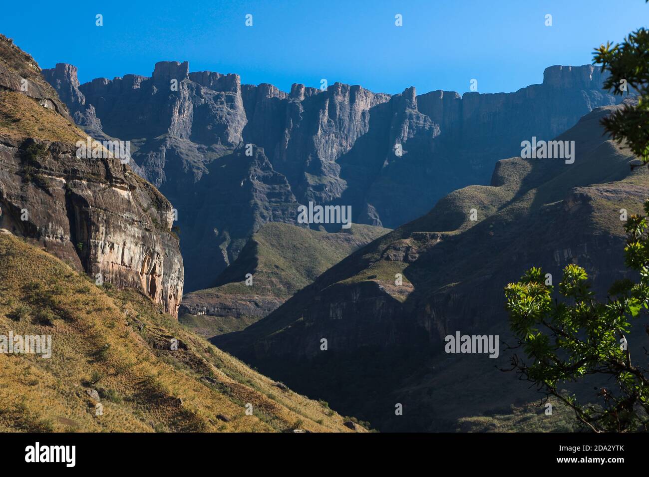 Ampitheatre Mountian in the Royal Natal National Park with blue sky. Stock Photo