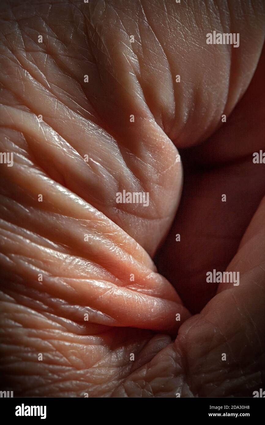 Skin folds human hand close up Stock Photo