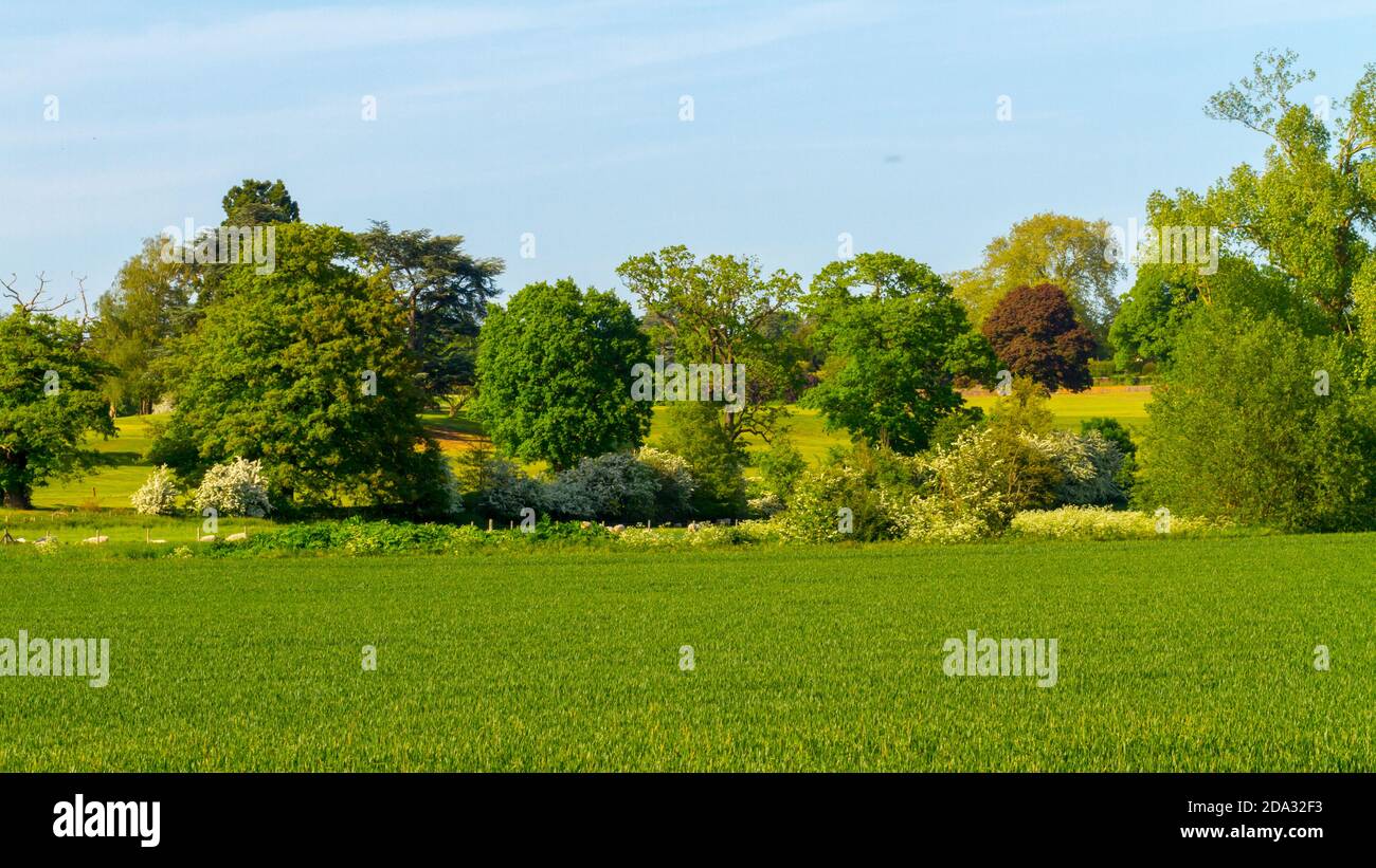 Spring in the UK Stock Photo - Alamy