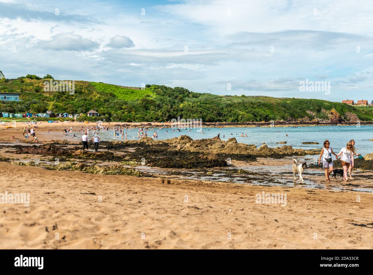 St Abbs, United Kingdom - August 07, 2020: Coastline near St Abbs Head, Berwickshire, Scottish Borders, Scotland. Coldingham bay beach Stock Photo