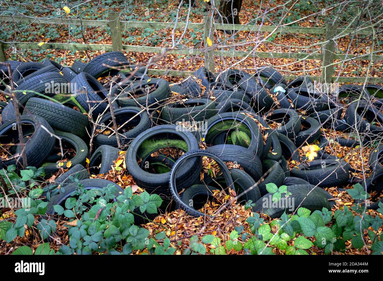 Fly Tipping, Tyres dumped in the countryside Stock Photo